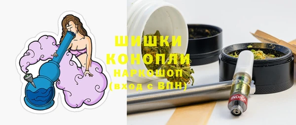 сатива Абинск