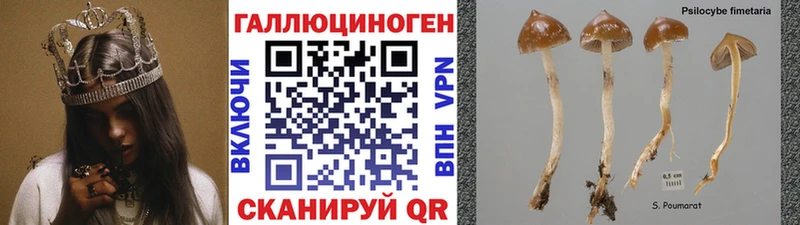 Псилоцибиновые грибы мицелий Переславль-Залесский